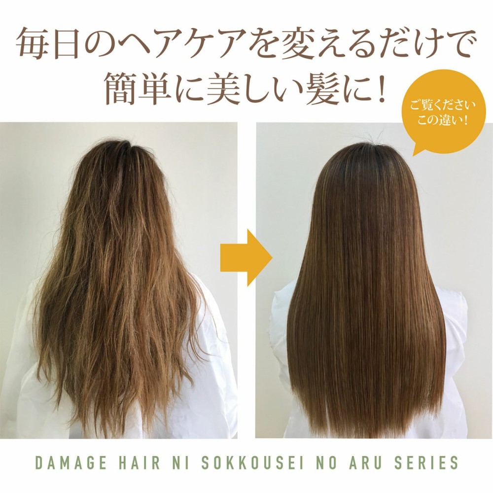 リックスＤＳＳシャンプー＆トリートメント